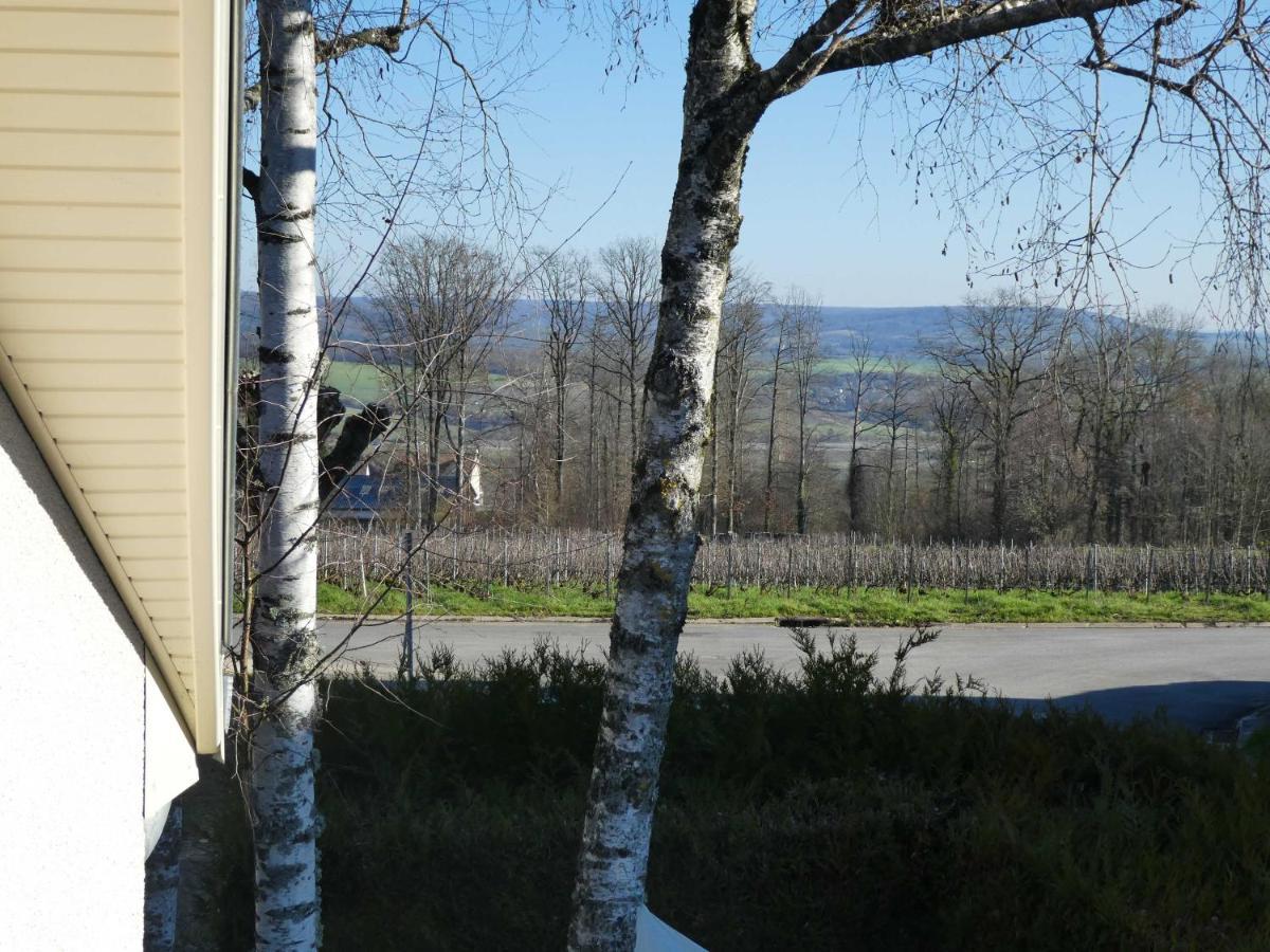 Mutigny La Tuiliere Bed & Breakfast エクステリア 写真